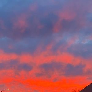 Meet your Posher, Homer